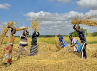 MicroLoan Foundation’s impact on global sustainability